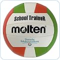 Volleybälle