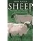 Sheep connections