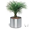Stainless steel planter on wheels (stainless steel) (19"H x 19.5"W x 19.5"D)