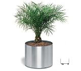 Blomus 65105 GREENS Blumentopf auf Rollen O 35 cm