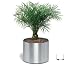 Blomus 65105 GREENS Blumentopf auf Rollen Ø 35 cm