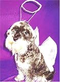 Pet Dog Angel Create a Costume Kit with Halo and Wings