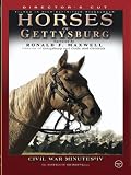 Horses of Gettysburg - Civil War Minutes IV Volume One
