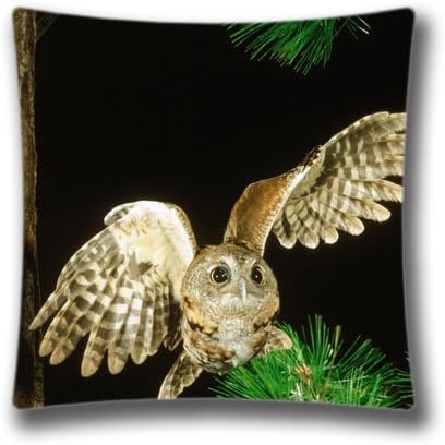 Great Spring Pillowcase 18X18 inch twin sides Owl In The Fir Tree Pattern Pillow Cover Cases,Art14029