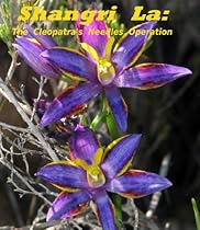 Shangri La: The Cleopatra's Needles Operation Shangri La: The Cleopatra's Needles Operation