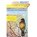 Kingbird Highway: The Biggest Year in the Life of an Extreme Birder