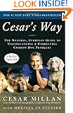 Cesar's Way: The Natural, Everyday Guide to Understanding and Correcting Common Dog Problems