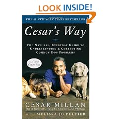 Cesar's Way: The Natural, Everyday Guide to Understanding and Correcting Common Dog Problems
