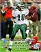 DeSean Jackson 2008 NFC Championship Game Action by Unknown Framed with Gold Decor Wood Frame 1.25 inch width, 3/4 inch depth
