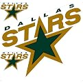 Dallas Stars Removable Logo - 24x24"