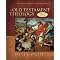 Do You Understand?  (Intro's to Scripture and its Theology)