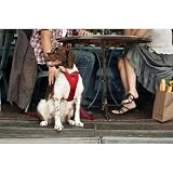Tru-Fit Smart Dog Harness in Red Size: Large (50 - 80 lbs)