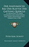 Produkt-Bild: Der Anatomische Bau Der Blatter Der Gattung Quercus: In Beziehung Zu Ihrer Systematischen Gruppierung Und Ihrer Geographischen Verbreitung (1900)