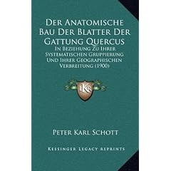Der Anatomische Bau Der Blatter Der Gattung Quercus: In Beziehung Zu Ihrer Systematischen Gruppierung Und Ihrer Geographischen Verbreitung (1900)