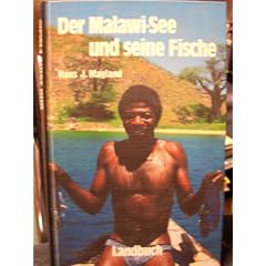 Der Malawi-See und seine Fische