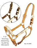 NEW ROYAL KING Dark Oil Silver Bar Show Halter