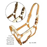 NEW ROYAL KING Dark Oil Silver Bar Show Halter