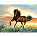 Fire in the Sky 500pc Jigsaw Puzzle by Persis Clayton Weirs