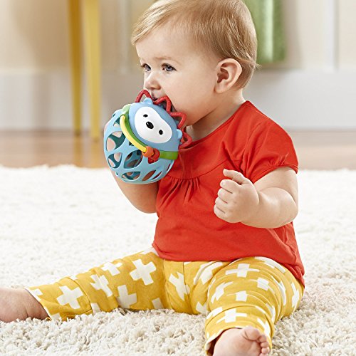 Skip-Hop-Explore-and-More-Roll-Around-Toy