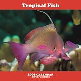 Tropical Fish 2008 Square Wall Calendar (German, French, Spanish and English Edition)