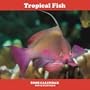 Tropical Fish 2008 Square Wall Calendar (German, French, Spanish and English Edition)