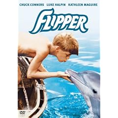 Flipper