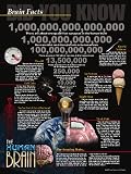 Human Brain Facts and Figures FRAMED POSTER 18" x 24" Educational Print in Black Metal Frame.