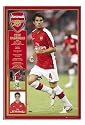 Satin Matt Laminated - Cesc Fabregas Arsenal Poster 08/09 Season New - 36 x 24 Inches (91.5 x 61 cms)