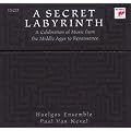 A Secret Labyrinth : Musique du Moyen Age � la Renaissance (Coffret 15 CD)