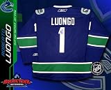 Roberto Luongo Vancouver Canucks Blue Reebok Premier Jersey - NHL Replica Adult Jerseys
