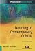 Learning in Contemporary Culture (Perspectives in Education Studies)