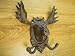 Cast Iron Moose Coat Hook