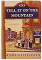 Go Tell It on the Mountain (Great Books of the 20th Century)
