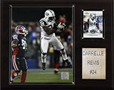NFL Darrelle Revis New York Jets Player Plaque