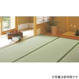 D2オリジナル い草上敷 信濃 6帖 お早目