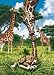 Ravensburger 300 Piece Kids Puzzle - Motherly Love