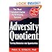 Adversity Quotient: Turning Obstacles into Opportunities