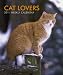 Books : Cat Lovers 2011 Hardcover Weekly Engagement (Multilingual Edition)