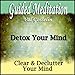 Detox Your Mind - Guided Meditation to Clear & Declutter Your Mind, Focus & Concentrate, Silent Meditation, Self Help & Wellness