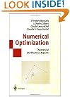 Numerical Optimization: Theoretical and Practical Aspects