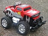 from sn toys brand new R/C monster truck all the batteries