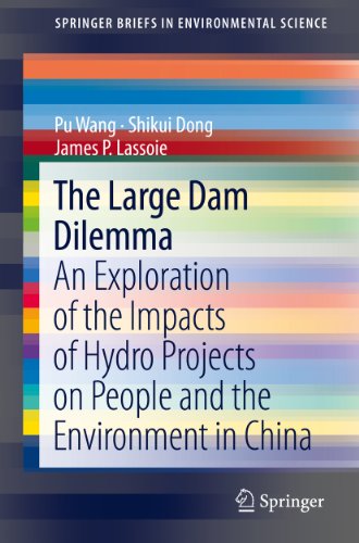 The Large Dam Dilemma: An Exploration of the Impacts of Hydro Projects on People and the Environment in China (Springer Briefs in Environmental Science)