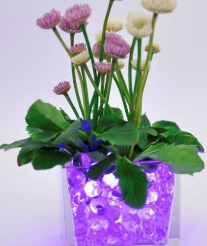 2oz Jelly BeadZ® Water Bead Gel- PURPLE