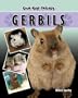 Gerbils (Our Best Friends)