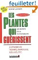 Les plantes qui gu�rissent : A utiliser en tisanes, ampoules, g�lules, etc.