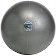 Gofit GF-75PRO Professional Stability Ball & Core Performance Training DVD - 75cm, Dark Gray