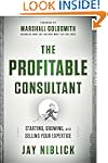The Profitable Consultant: Starting,...