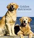 Golden Retrievers 2010 Hardcover Engagement Calendar