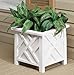 Miles Kimball Chippendale Flower Planter, White