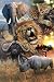 African Big Five (Elephant, Leopard, Lion, African Buffalo, Rhinoceros) Art Poster Print - 24" X 36"